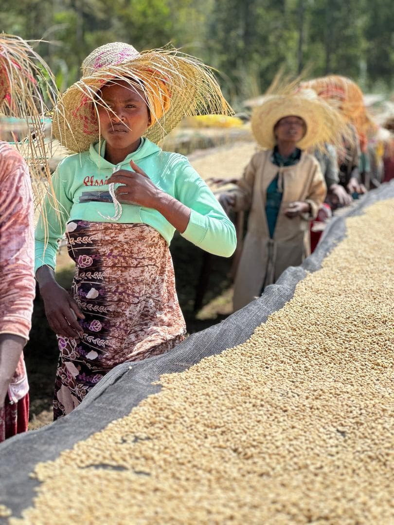 Ethiopian coffee farmers